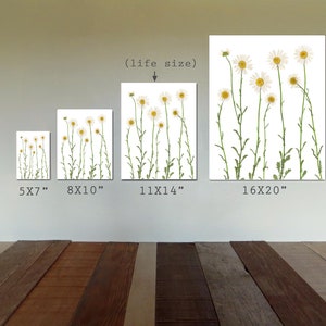 Pressed Daisy Botanical Print Dried Flower Art White Daisies Daisy Wall Art Unframed Giclee Print Summer Wall Art image 7