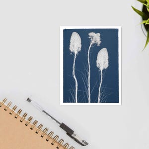 Carte de correspondance de style cyanotype Fleurs d'ours - Vierge à l'intérieur