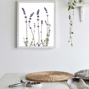 Arte de pared con estampado de lavanda Impresión botánica de flores prensadas Decoración de lavanda Regalo de lavanda imagen 7