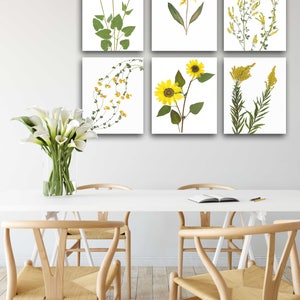 May include: Six framed botanical prints featuring pressed yellow flowers and green leaves on a white background. The prints are arranged in a grid pattern on a white wall above a white table with four wooden chairs.