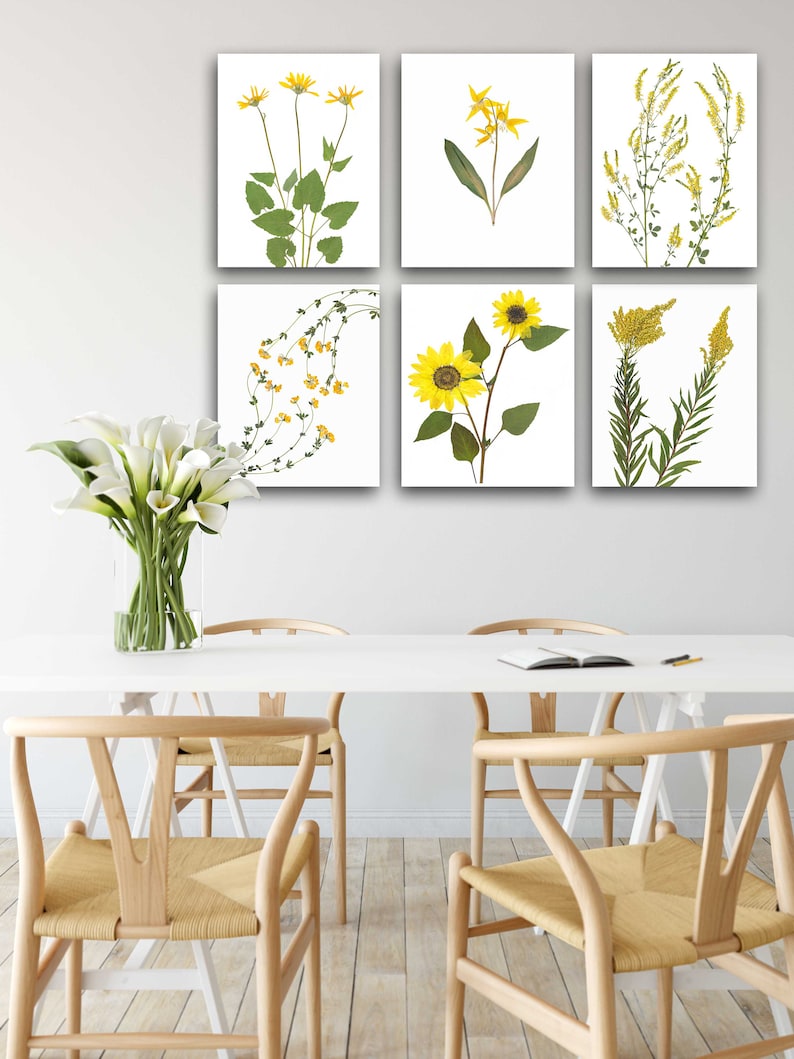 May include: Six framed botanical prints featuring pressed yellow flowers and green leaves on a white background. The prints are arranged in a grid pattern on a white wall above a white table with four wooden chairs.