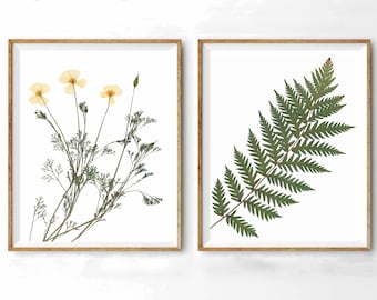 Fern and Flower Pressed Plant Prints - California Botanical Print Set - California Poppy and Giant Fern Prints - Simple Floral Art on White