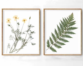 Pressed California Poppy & Fern Print Set: Botanical Wall Art