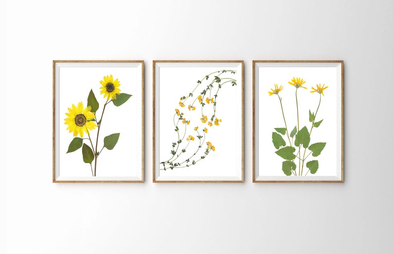 Puede incluir: Tres impresiones enmarcadas de flores prensadas. La primera impresi&oacute;n presenta dos girasoles amarillos. La segunda impresi&oacute;n presenta una vid de peque&ntilde;as flores amarillas. La tercera impresi&oacute;n presenta tres flores amarillas con hojas verdes.