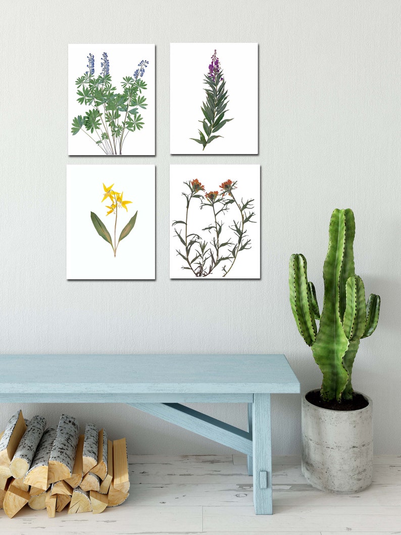 Set of 4 Mountain Wildflower Prints Pressed Flowers of Montana Botanical Prints Four Print Set Nature Wall Art image 1