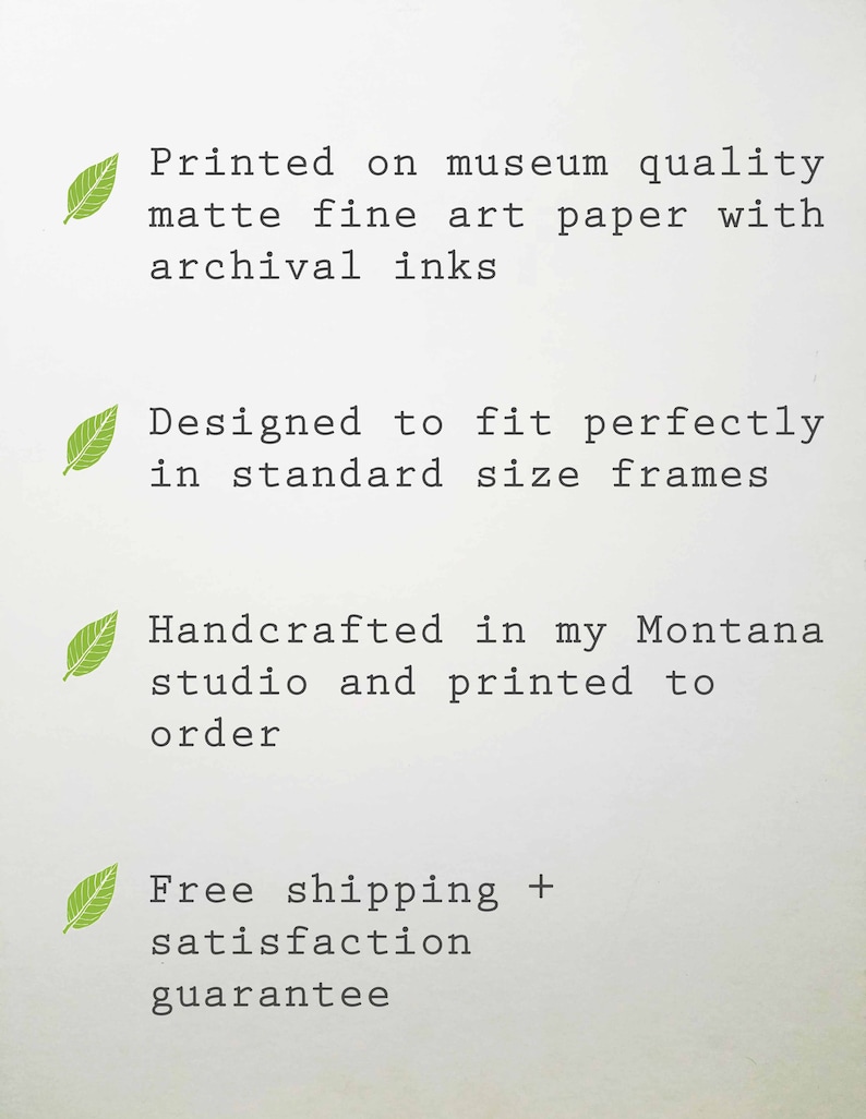 Set of 3-5X7 8X10 11X14 Daisies Botanical Prints Pressed Flower Art Daisy Print Set