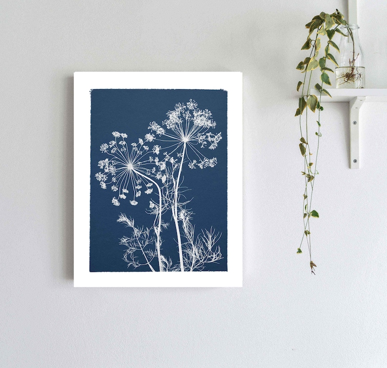 Flowers Cyanotype Botanical Print Pressed Herb Print Pressed Flower on Blue Background Blue and White Wall Art Print image 1