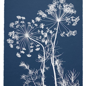 Flowers Cyanotype Botanical Print Pressed Herb Print Pressed Flower on Blue Background Blue and White Wall Art Print image 2