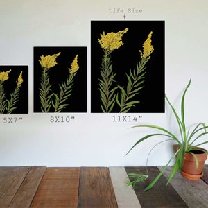 Set of 6 Black Botanical Prints Pressed Flowers with Black Backgrounds 5X7, 8X10 or 11X14 Modern Wall Art Dark Floral Print Set image 9