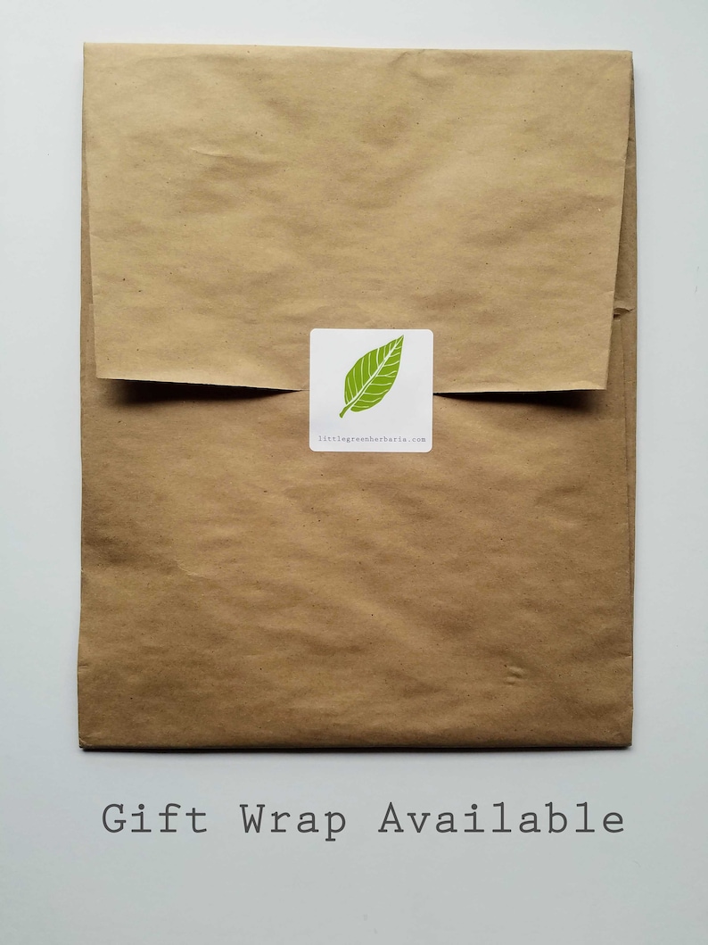 May include: A brown paper gift bag with a green leaf sticker that says "littlegreenherbaria.com". The text "Gift Wrap Available" is printed below the bag.