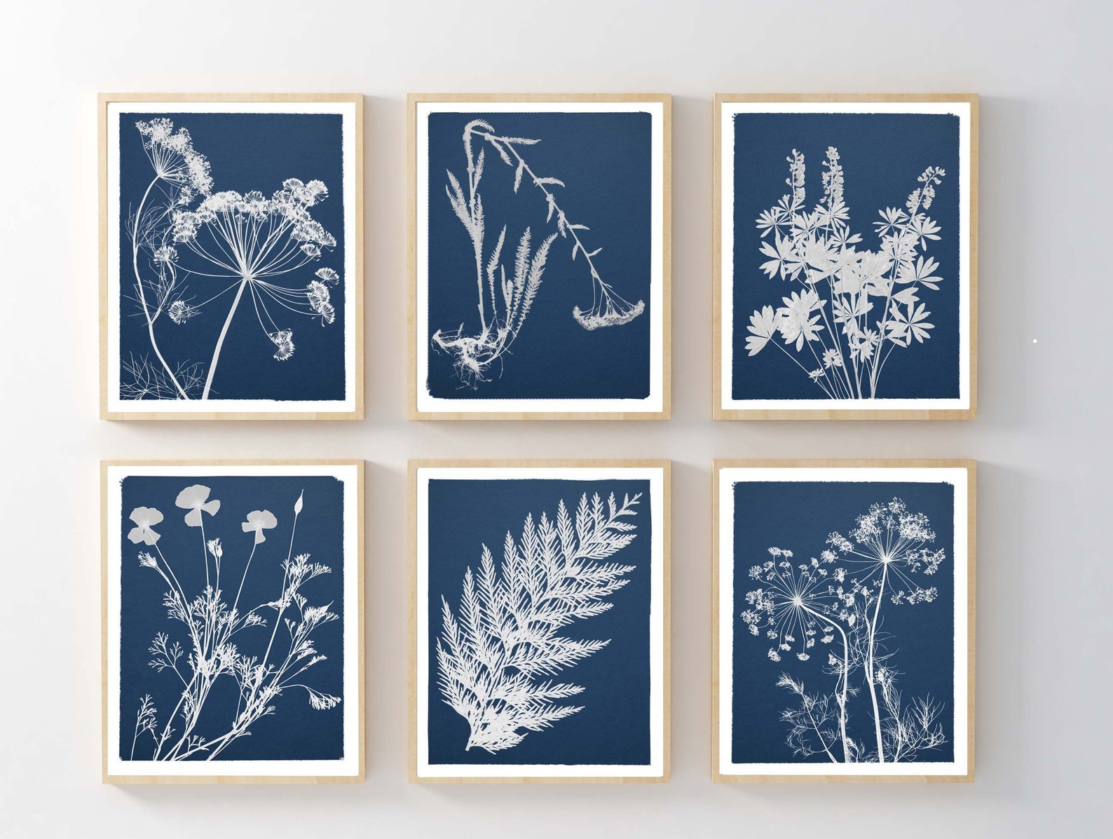 Cyanotype Botanical Print Set: - 8X10" - Set of 6, White border