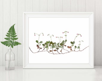 Twinflower Print - Pressed Flower Art - Minimalist Botanical Print - Twin Nursery Decor- Twin Flower - Unframed Fine Art Print