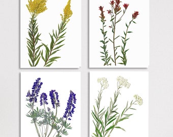 Rocky Mountain Wildflower Notecard Set: Paintbrush, Lupine, Goldenrod