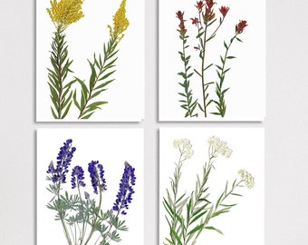 Rocky Mountain Wildflowers Notecard Set of 4 - Paintbrush, Lupine, Goldenrod - Gift for Mom - Teacher Gift - Native Pressed Flowers