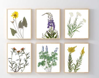 Utah Wildflower Print Set: Botanical Wall Art Set of 6
