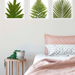 Leaf Print Set Modern Botanical Leaf Print Fern Prints Bamboo Tropical Leaves Green Wall Art Green Leaves Wall Art image 9