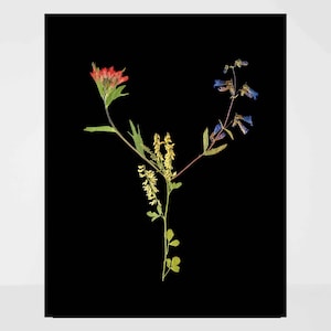 Letra Y de flor prensada - Inicial Y de flores secas - Monograma Y - Arte de parede com alfabeto botânico - 5X7 ou 8X10 - Presente personalizado para o Dia das Mães