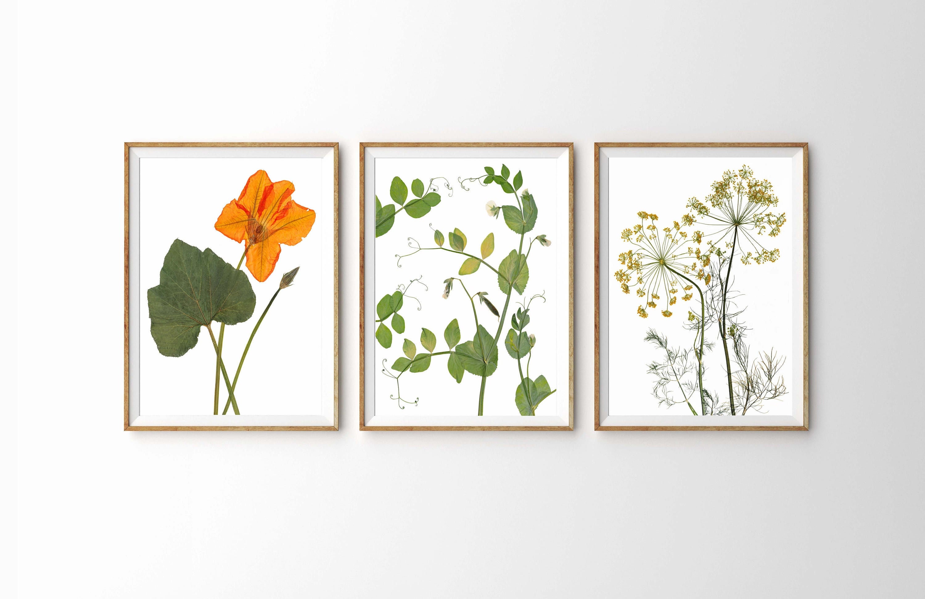 Vegetable Garden Art Gardener Gift Herb and Vegetable Etsy