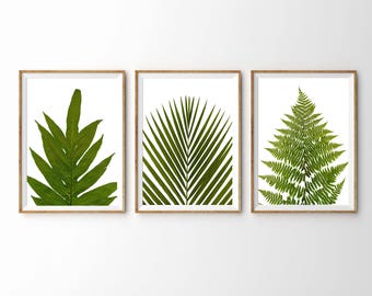 Leaf Print Set - Modern Botanical Leaf Print - Fern Prints - Bamboo - Tropical Leaves - Green Wall Art - Green Leaves Wall Art