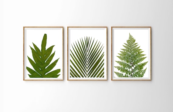 Botanisches Bltter Set: Farn & Bambus Grne Wandkunst - Etsy.de
