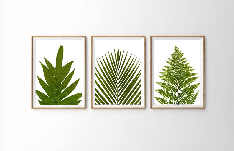 Leaf Print Set Modern Botanical Leaf Print Fern Prints Bamboo Tropical Leaves Green Wall Art Green Leaves Wall Art image 1