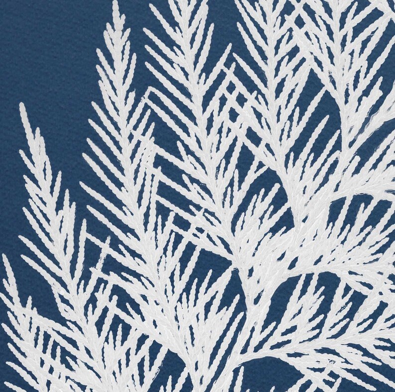 May include: White stylized fern branches on a deep blue background. The branches are arranged in a layered pattern, creating a sense of depth and texture.