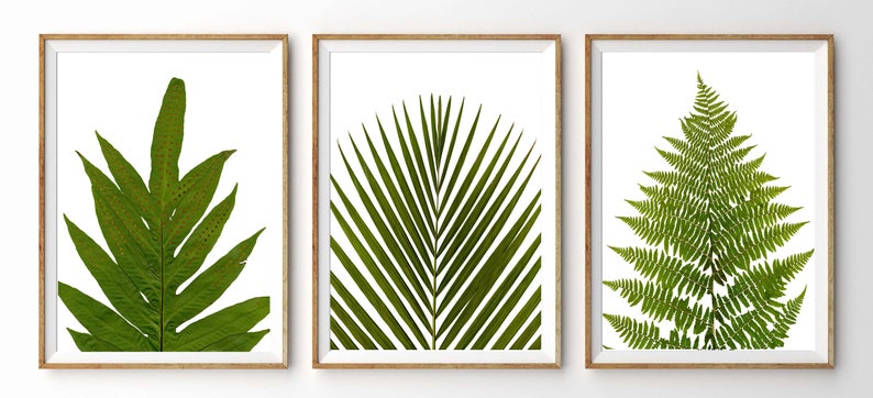 Leaf Print Set Modern Botanical Leaf Print Fern Prints Bamboo Tropical Leaves Green Wall Art Green Leaves Wall Art image 8