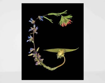 Letter G Pressed Flower Print - G Initial Wall Art - Floral Alphabet - 8X10 or 5X7