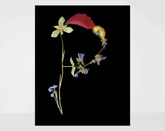 Floral Letter P Monogram: Pressed Flower Botanical Wall Art for Nursery, Nature-Inspired Home Decor