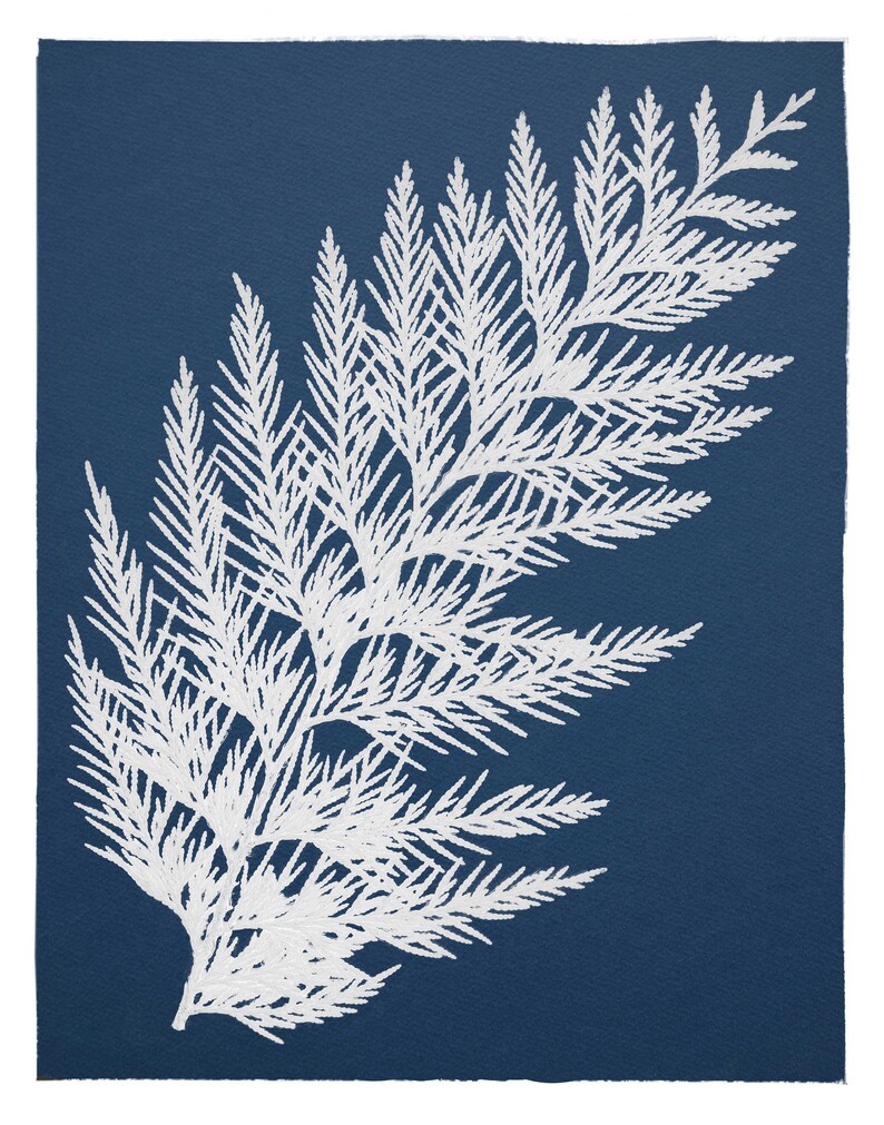 May include: A white fern frond silhouette on a deep blue background. The fern is detailed and intricate, with delicate fronds and a natural, organic shape.