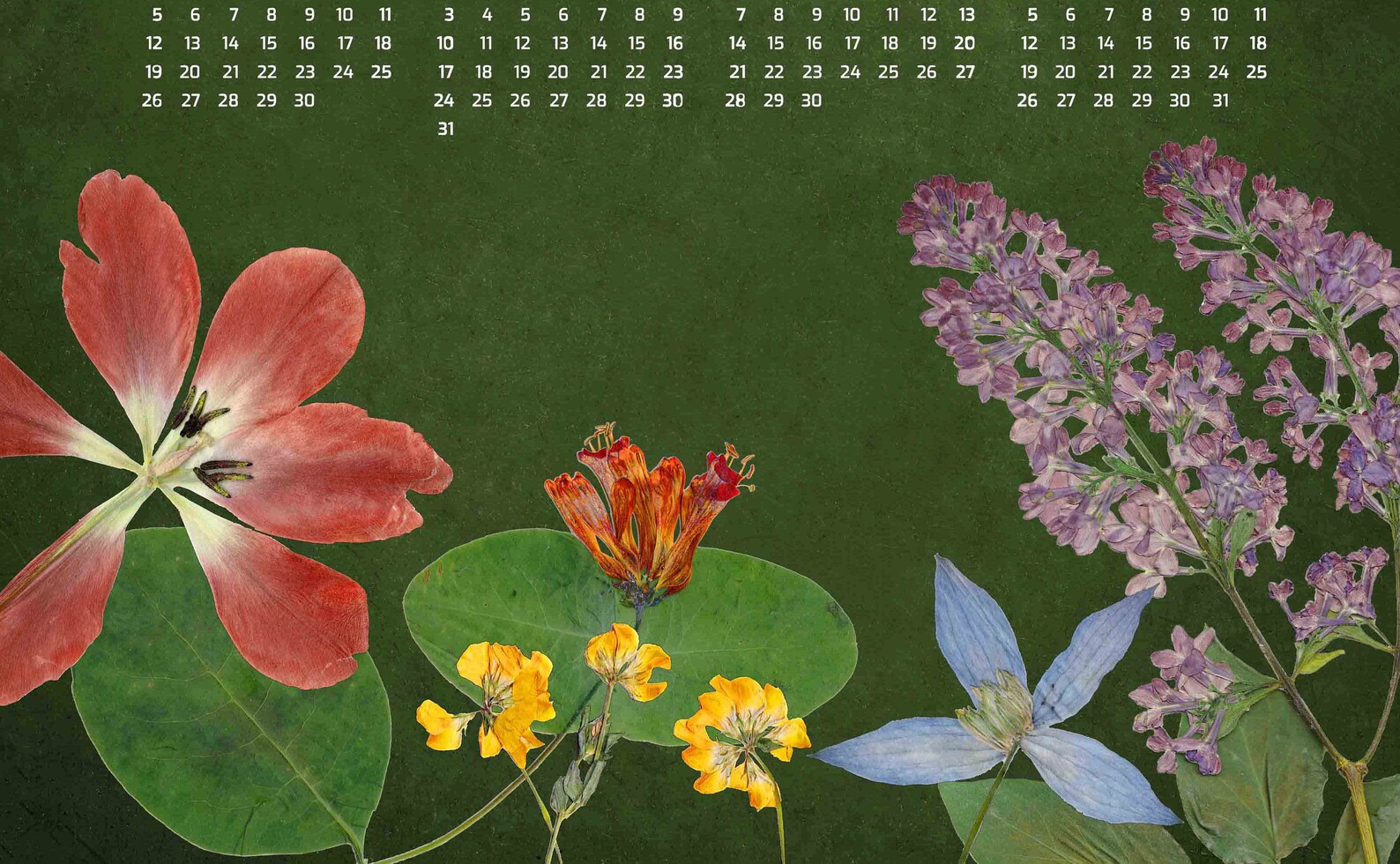 2021 Floral Wall Calendar Botanical Art 11X17 or 13X19 | Etsy