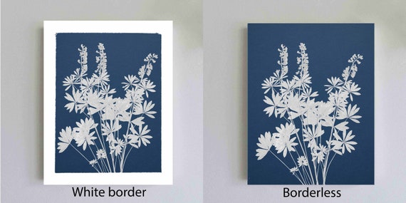 Lupine Cyanotype Print Botanical Print on Blue Background Bluebonnet  Flowers Wall Art Anna Atkins Style Unframed Fine Art Print - Etsy Denmark