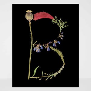 Impresión de flores prensadas con la letra B - Alfabeto floral - Arte mural botánico - Regalo personalizado para papá - Decoración infantil