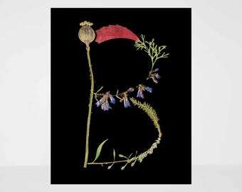 Letter B Pressed Flower Art Print: Botanical Alphabet Decor