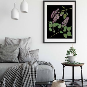 May include: A framed botanical print of a lilac flower branch with purple blossoms and green leaves against a black background. The print is hanging on a white wall above a gray sofa with a black and white throw blanket.