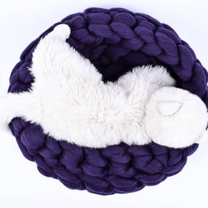 May include: A white fluffy cat curled up in a deep purple knitted pet bed.