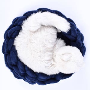 May include: A white fluffy puppy curled up asleep in a navy blue knitted pet bed.
