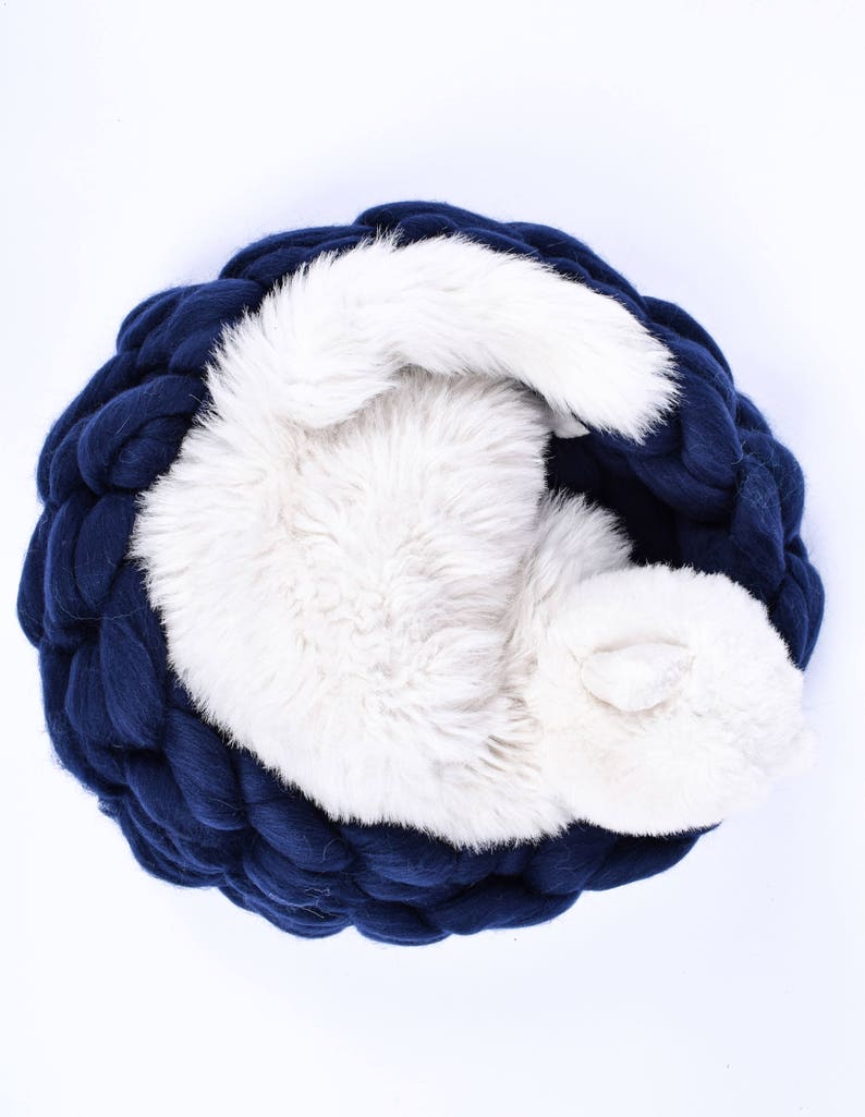 May include: A white fluffy puppy curled up asleep in a navy blue knitted pet bed.