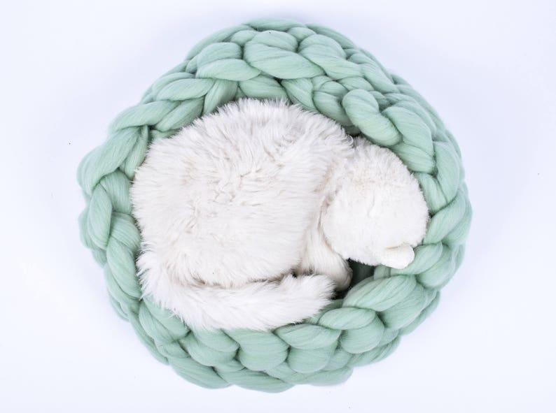 May include: A white fluffy pet sleeping in a light green knitted pet bed.