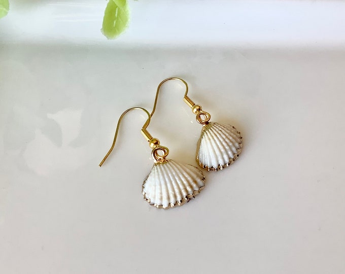 Shell earrings