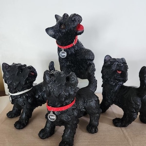 Toto Puppy Parade