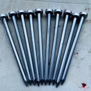 May include: Ten silver metal tent stakes with rounded heads. The stakes are arranged in a fan shape on a white surface.