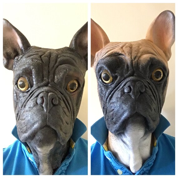 Masked french sale bulldog