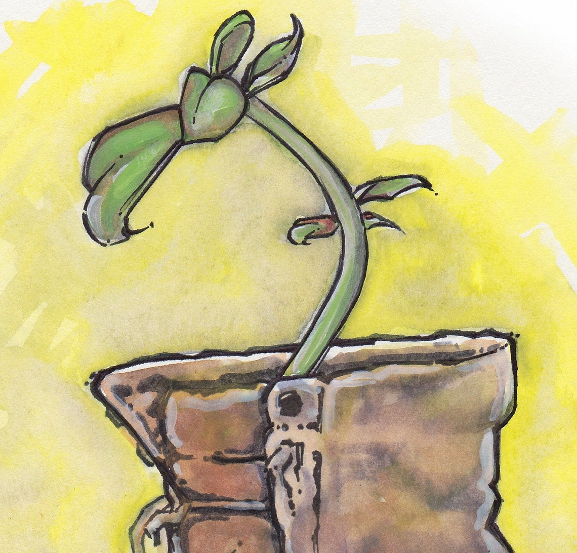 WALLE BOOT PLANT Fine Art Quality Print multiple Sizes / Etsy