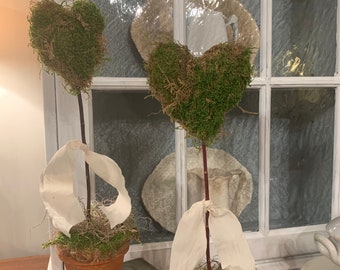 Moss Topiary Etsy