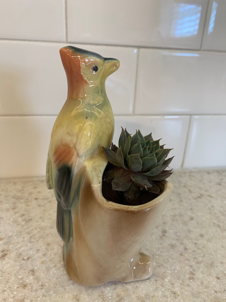 Vintage Royal Copley Bird Vase Etsy