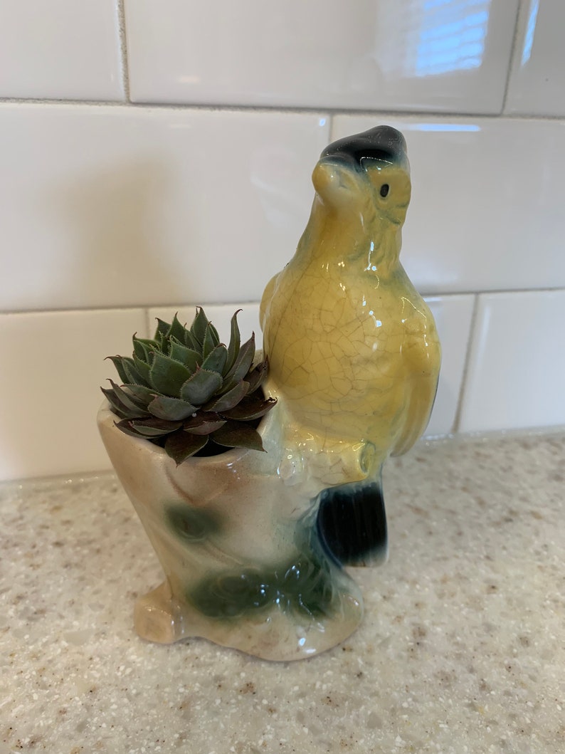 Vintage Royal Copley Bird Vase Etsy