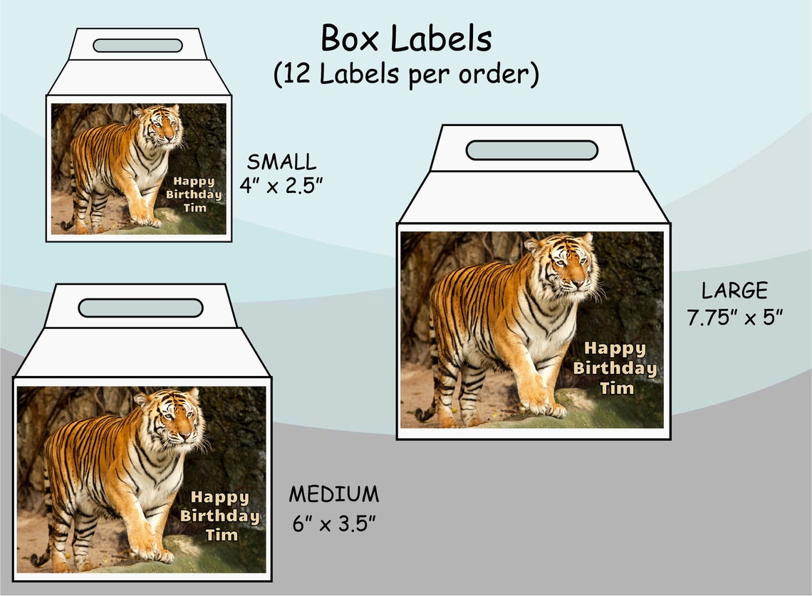 Beautiful Bengal Tiger Photo Gift Bag Labels Gable Box Etsy
