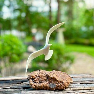 Midcentury John Perry Burlwood Seagull Sculpture