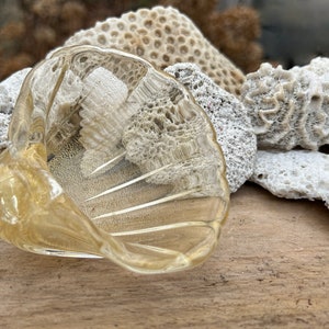 MCM Archimede Seguso Murano Glass Sea Shell